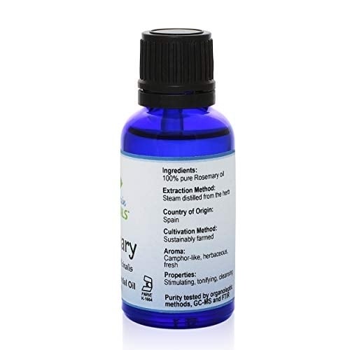 Rosemary (Rosemarinus Officinalis) Essential Oil - 100% Pure Natural and Kosher - 1 fl oz Bottle Image 4