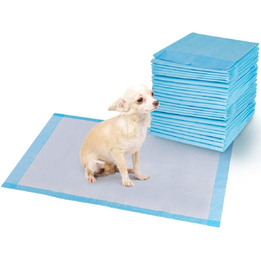 150 PCS Puppy Pet Pads Dog Cat Wee Pee Piddle Pad Training Underpads (24 x 36) Image 1