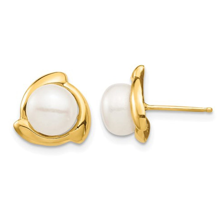 14K Yellow Gold Freshwater Cultured 7-8mm Pearl Post Earrings Image 1