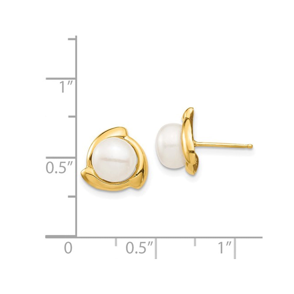 14K Yellow Gold Freshwater Cultured 7-8mm Pearl Post Earrings Image 2