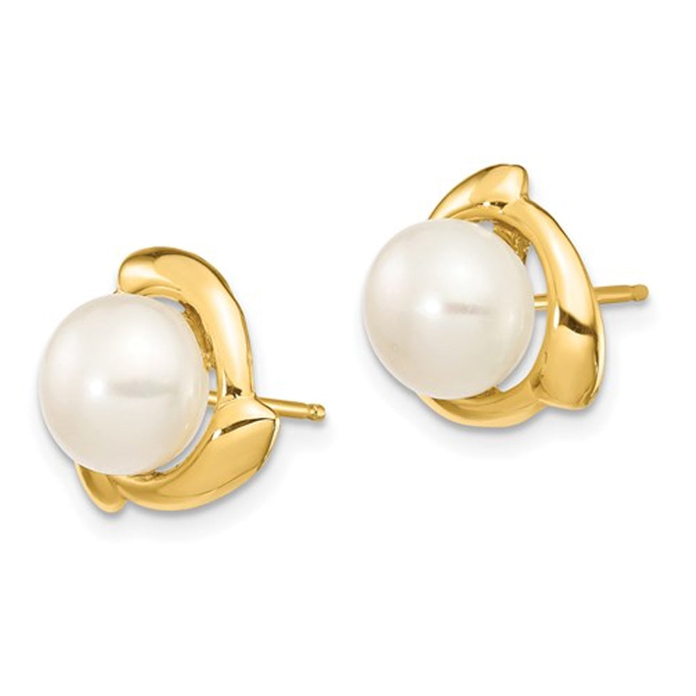 14K Yellow Gold Freshwater Cultured 7-8mm Pearl Post Earrings Image 3