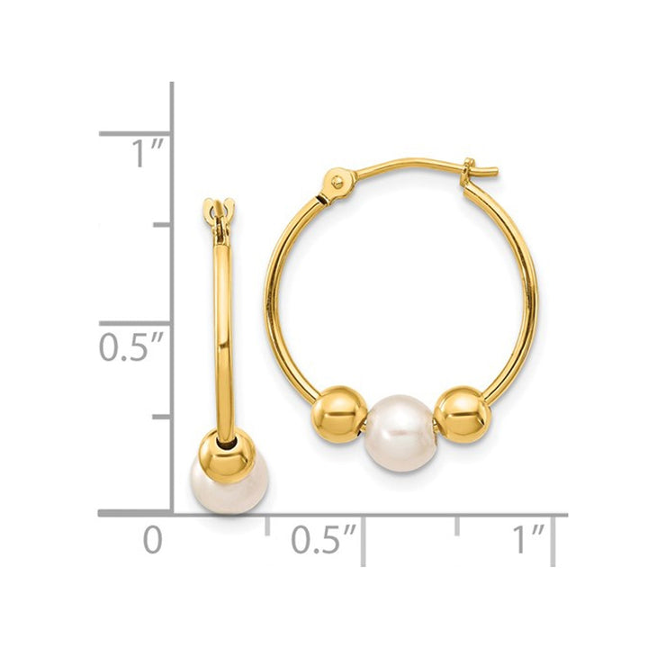 14K Yellow Gold Semi-Round Pearl Hoop Earrings Image 2