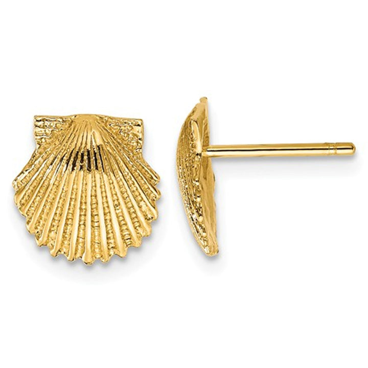 14K Yellow Gold Polished Scallop Shell Post Earrings Image 1