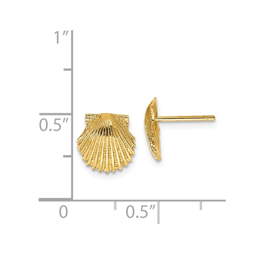 14K Yellow Gold Polished Scallop Shell Post Earrings Image 2