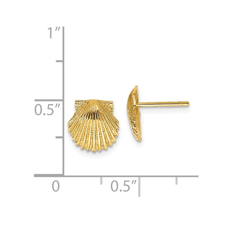 14K Yellow Gold Polished Scallop Shell Post Earrings Image 2