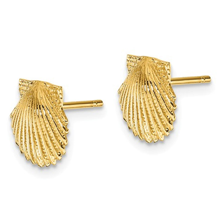 14K Yellow Gold Polished Scallop Shell Post Earrings Image 3