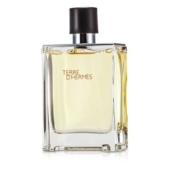 Hermes Terre DHermes Eau De Toilette Spray 100ml/3.4oz Image 2