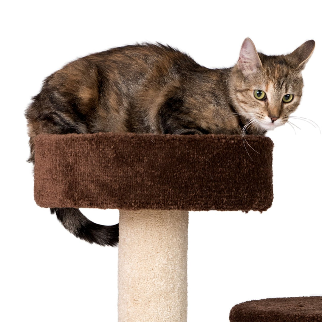 Armarkat Carpeted Cat Tree Real Wood Cat Activity Center F3005 Image 4