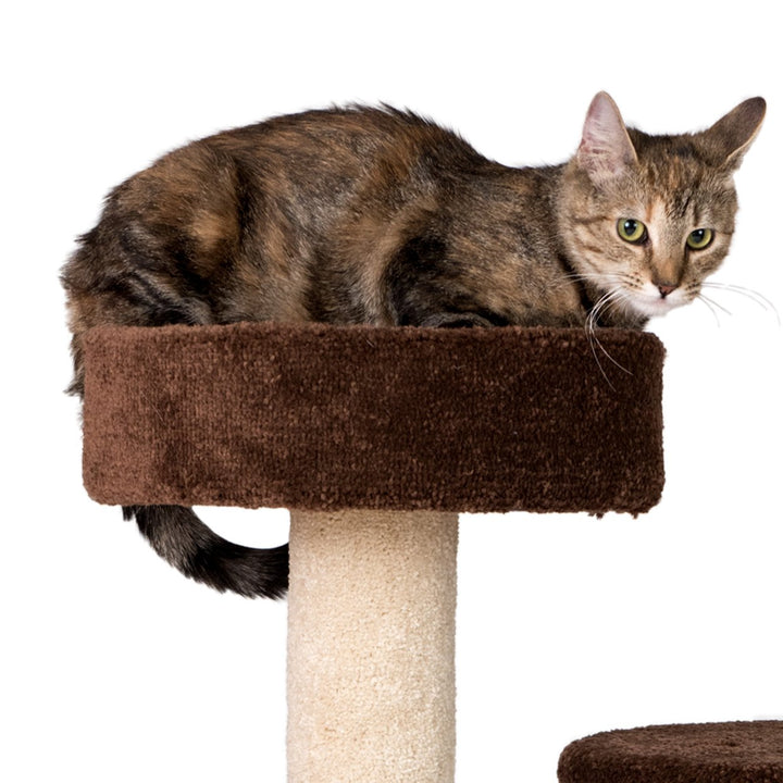 Armarkat Carpeted Cat TreeReal Wood Cat Activity Center F3005 Image 4