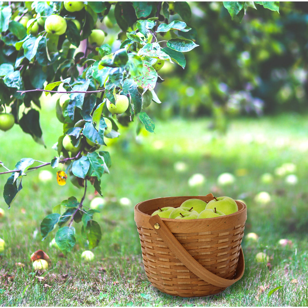 Small Wood Chip Apple Picking Basket Image 2