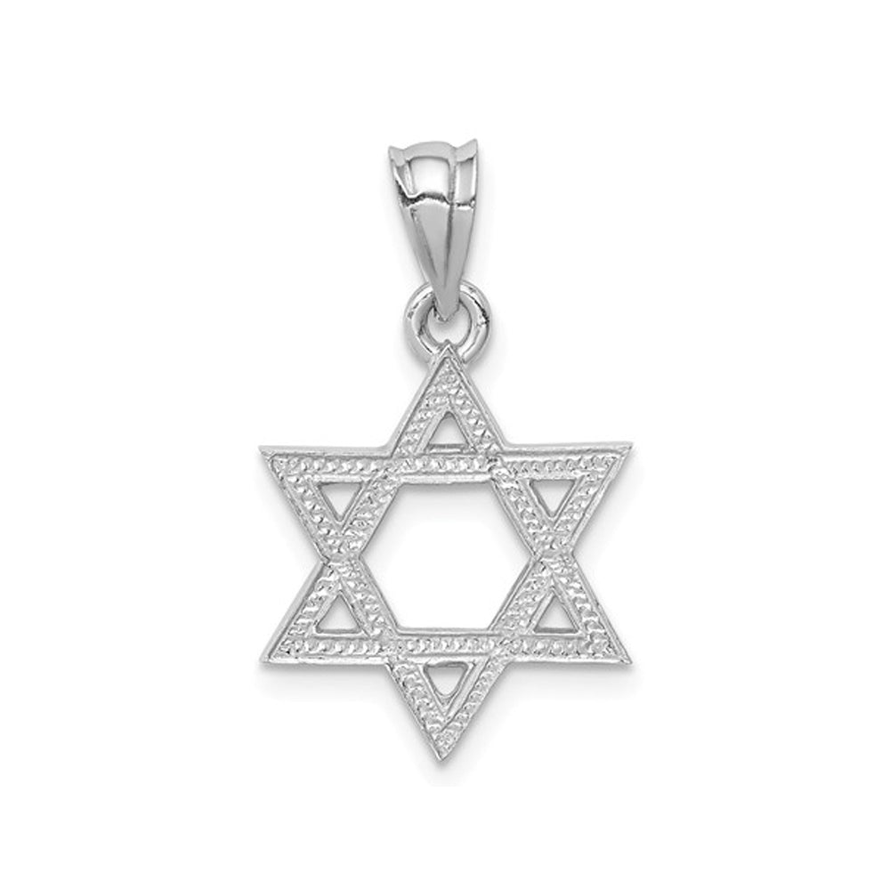 14K White Gold Polished Star Of David Pendant Necklace with Chain Image 2