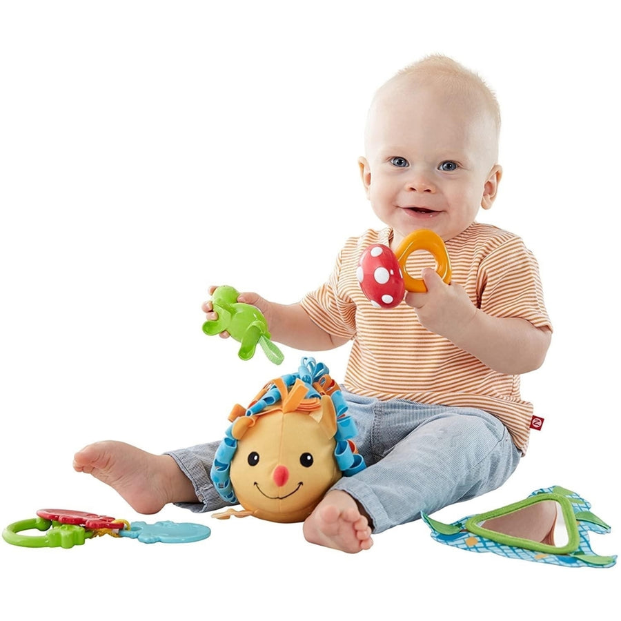 Moonlight Meadow Activity Set 5 Toys Rattles Develops Skills Fisher-Price Image 1