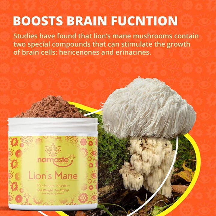 Namaste Lions Mane Nootropic Mushroom Powder Immunity Health Supplement Image 3