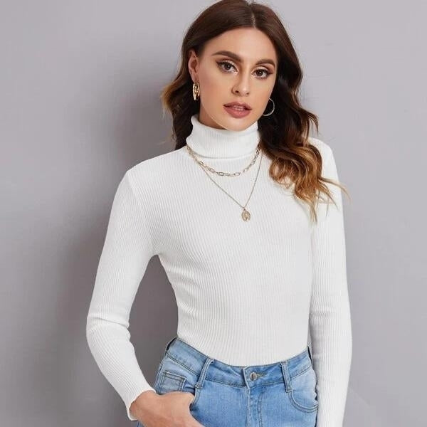 Turtleneck Ribbed Knit Sweater Image 1