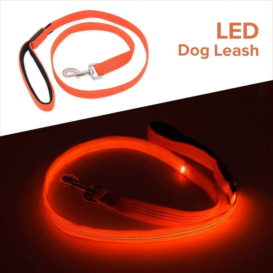 Led Dog Safety Leash USB Rechargeable Flash Glow Dog Leash Great Visibility and Improved Safety Image 1