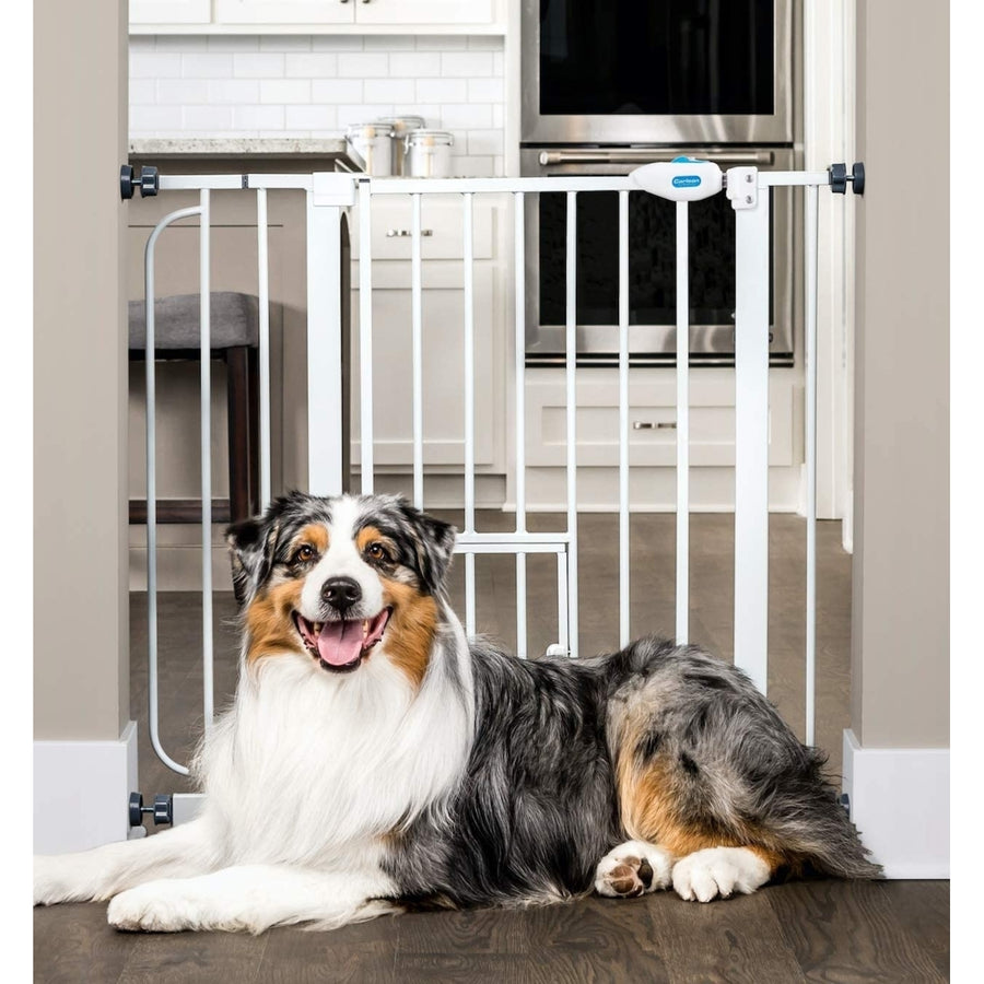 Extra Wide Walk Through Pet Gate with Small Pet Door Includes 4-Inch Extension Kit, Pressure Mount Kit and Wall Mount Image 1
