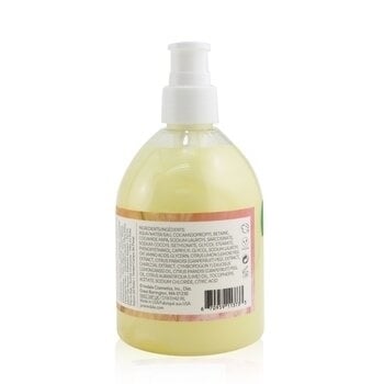 Jane Iredale Citrus + Charcoal Hand Wash 300ml/10oz Image 3