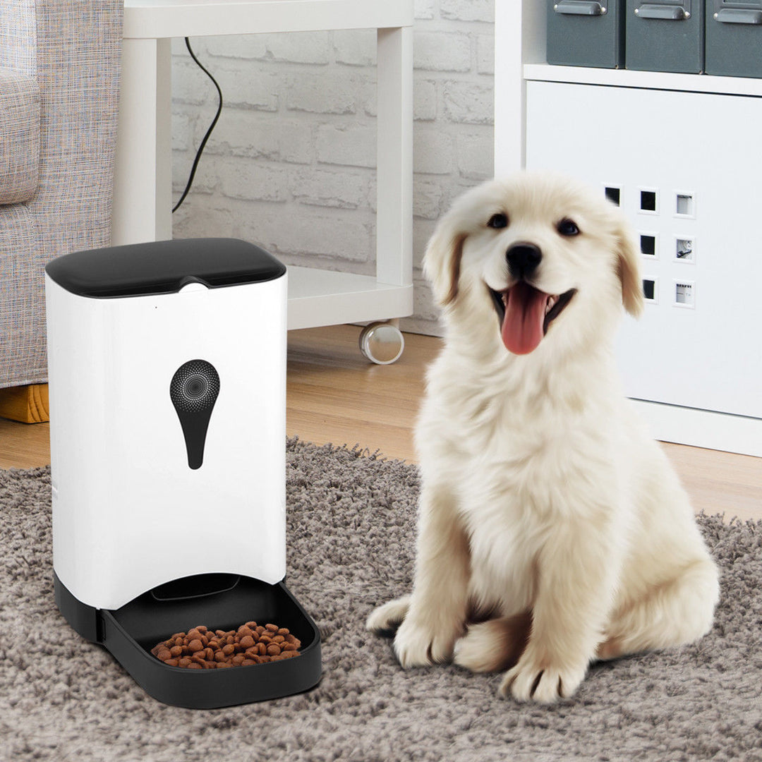 Automatic Pet Feeder for Dog Cat Food Dispenser Voice Recorder Timer Programable Image 3