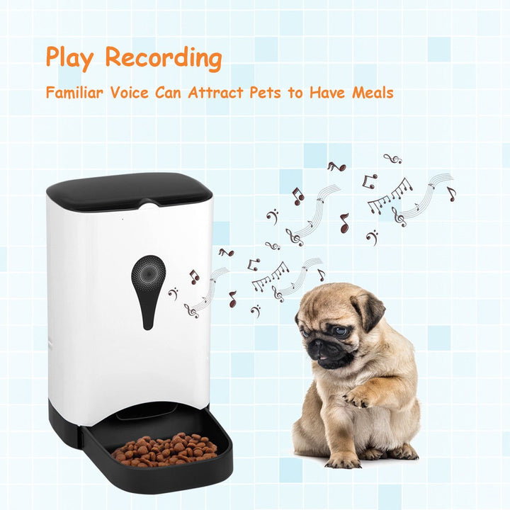 Automatic Pet Feeder for Dog Cat Food Dispenser Voice Recorder Timer Programable Image 6