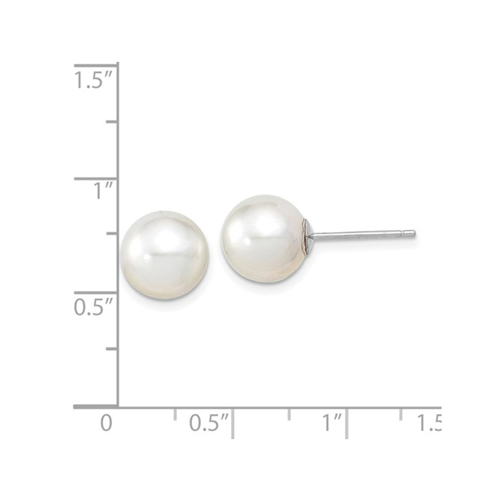 9-10mm White Saltwater South Sea Pearl Solitaire Earrings in 14K White Gold Image 4