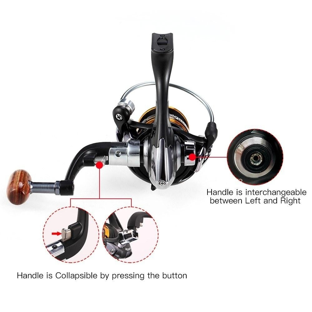 12+1BB 5.1:1 Gear Ratio Lightweight Spinning Fishing Reel with Free Spare Spool for River Lake Sea Fishing Image 4