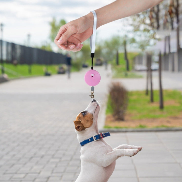 6.56ft Retractable Dog Leash Anti-Slip Handle Extendable for Small and Medium Pets Walking Image 10