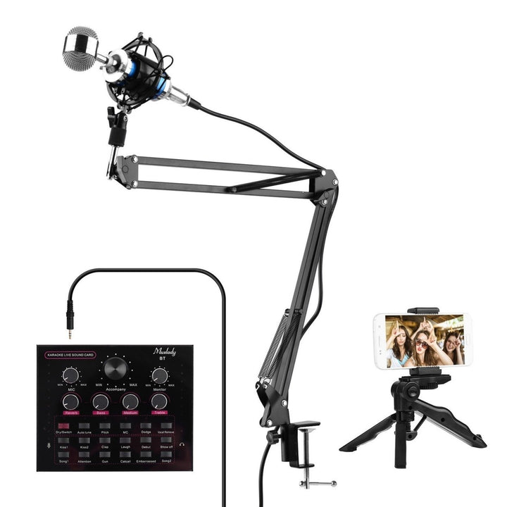 Live Sound Card + Professional Condenser Microphone Kit Image 1
