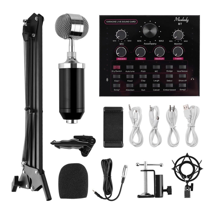 Live Sound Card + Professional Condenser Microphone Kit Image 9