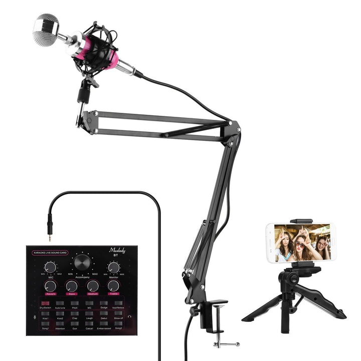 Live Sound Card + Professional Condenser Microphone Kit Image 11