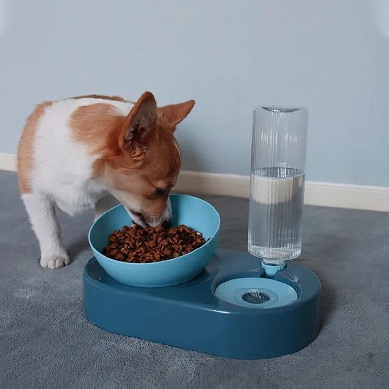 Pet Bowls Dog Feeder Drinking Dish Cat Puppy Feeding Supplies Image 6