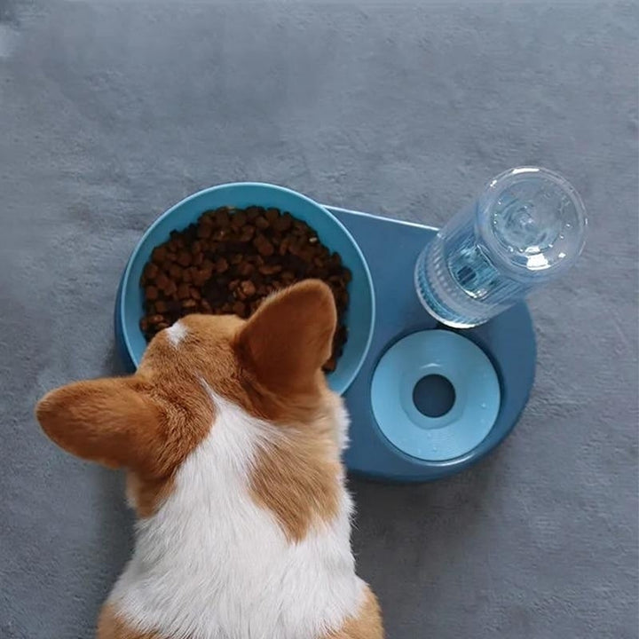 Pet Bowls Dog Feeder Drinking Dish Cat Puppy Feeding Supplies Image 8