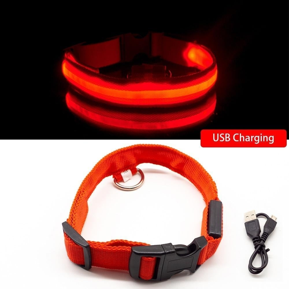 USB Charging Dog Collar Anti-Lost,Avoid Car Accident For Puppies Image 2