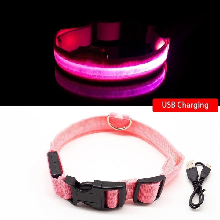USB Charging Dog Collar Anti-Lost,Avoid Car Accident For Puppies Image 1