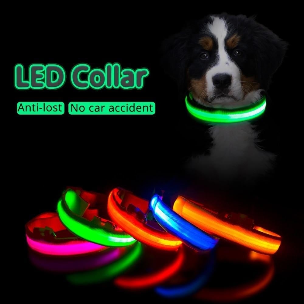 USB Charging Dog Collar Anti-Lost,Avoid Car Accident For Puppies Image 1