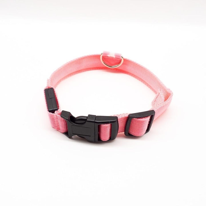 USB Charging Dog Collar Anti-Lost,Avoid Car Accident For Puppies Image 9