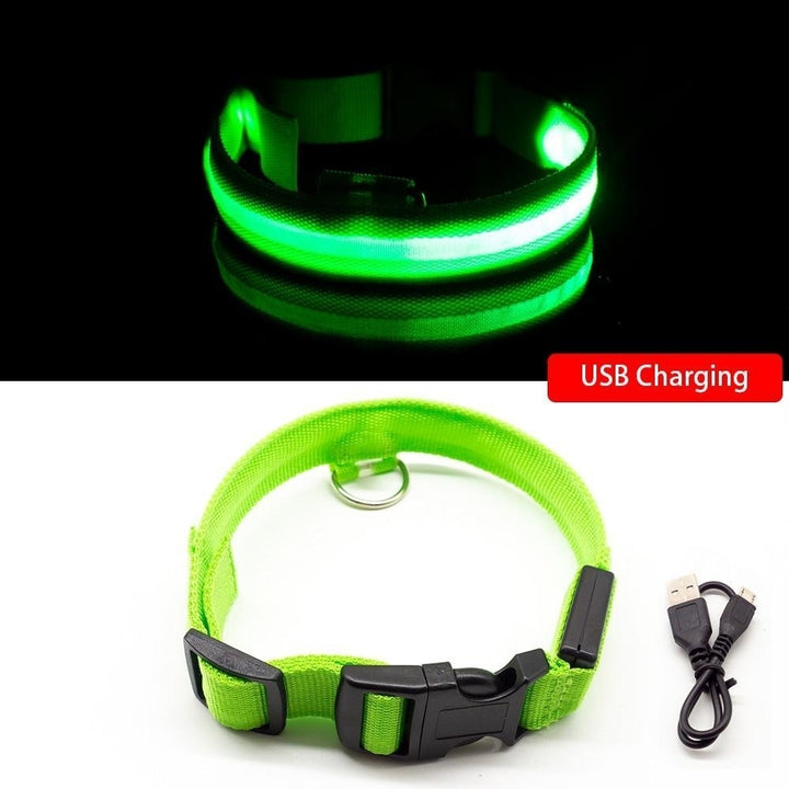 USB Charging Dog Collar Anti-Lost,Avoid Car Accident For Puppies Image 11
