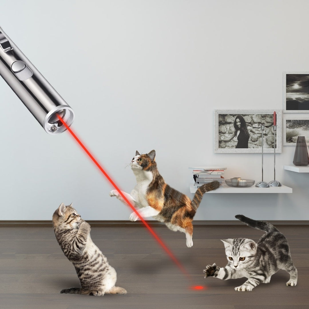 USB Rechargeable Pet Toys Cat Training Laser Pointer With LED Flashlight Image 4