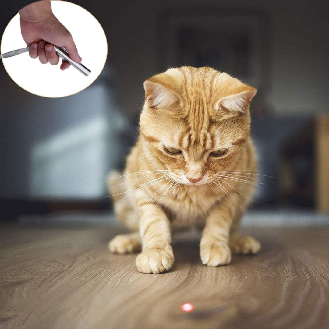 USB Rechargeable Pet Toys Cat Training Laser Pointer With LED Flashlight Image 6