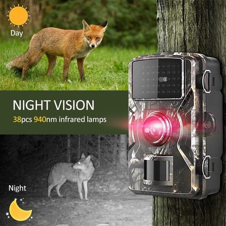 Wildlife Hunting Trail and Game Camera 12MP 1080P Image 4