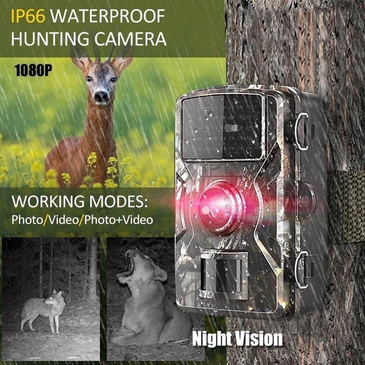 Wildlife Hunting Trail and Game Camera 12MP 1080P Image 10