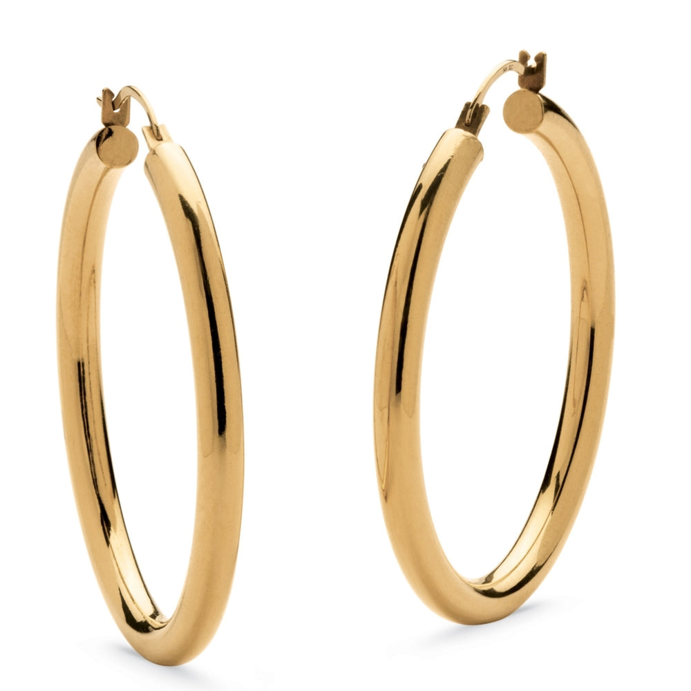 14k Yellow Gold Hoop Earrings Nano Diamond Resin Filled Image 2