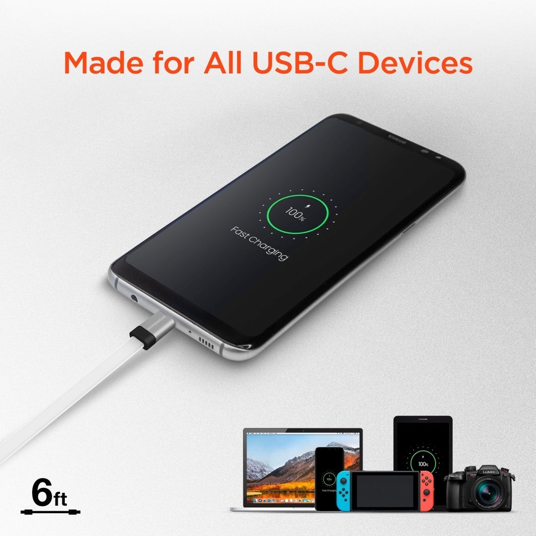 HyperGear Flexi USB-C to USB-C Flat Cable 6ft Image 3