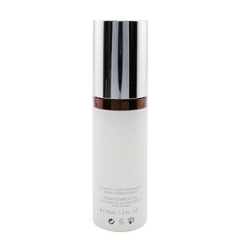 Kanebo Sensai Cellular Performance Wrinkle Repair Essence 40ml/1.3oz Image 3