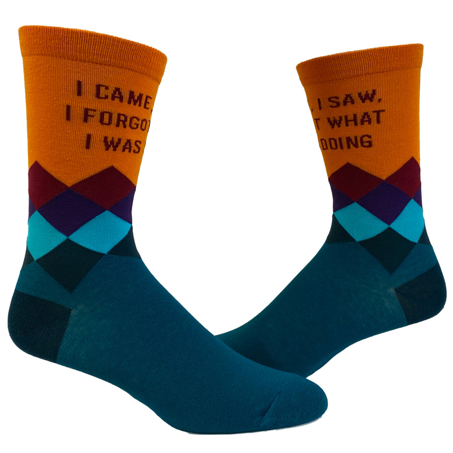 Womens I Came I Saw I Forgot What I Was Doing Socks Funny Introvert Sarcastic Graphic Novelty Footwear Image 1