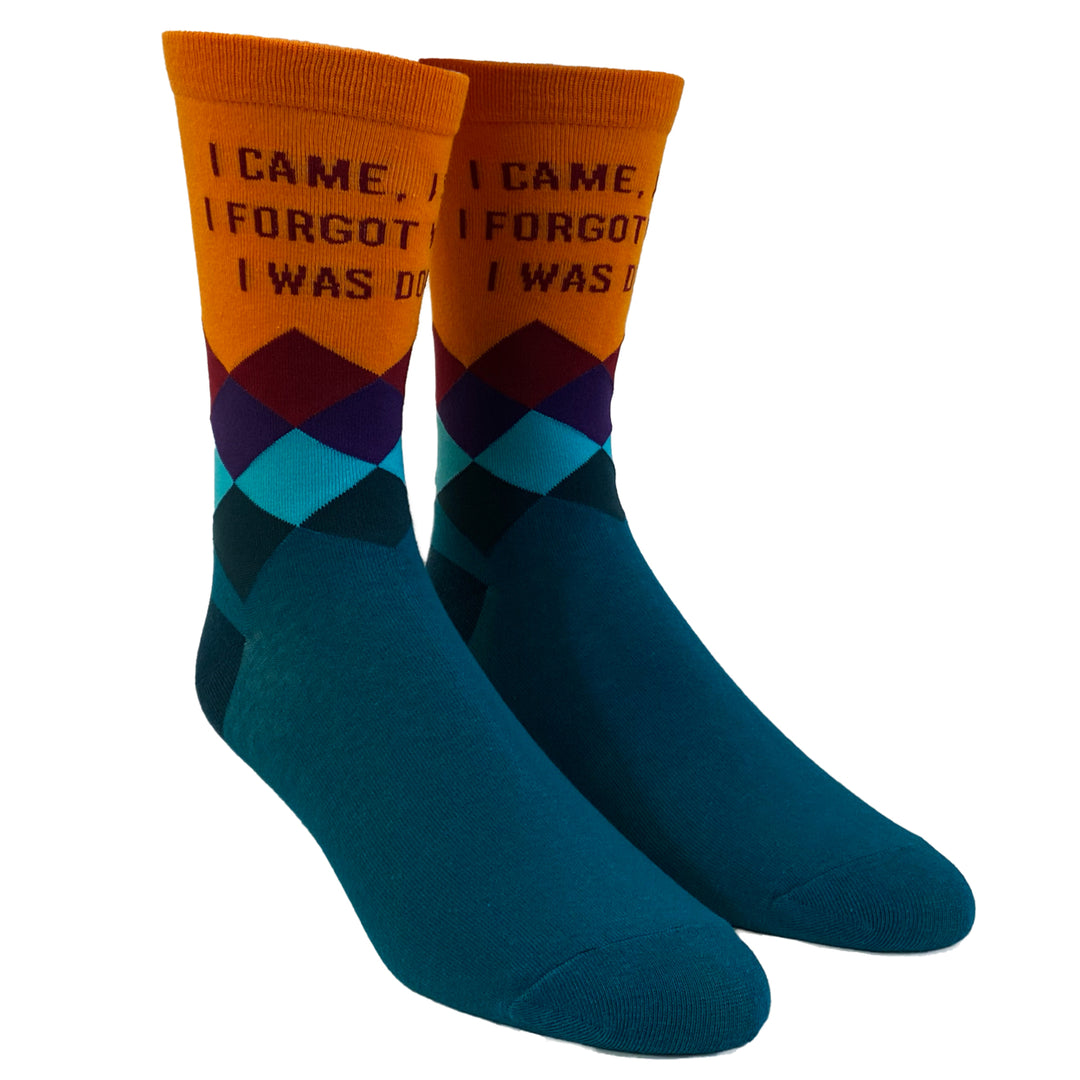 Womens I Came I Saw I Forgot What I Was Doing Socks Funny Introvert Sarcastic Graphic Novelty Footwear Image 2