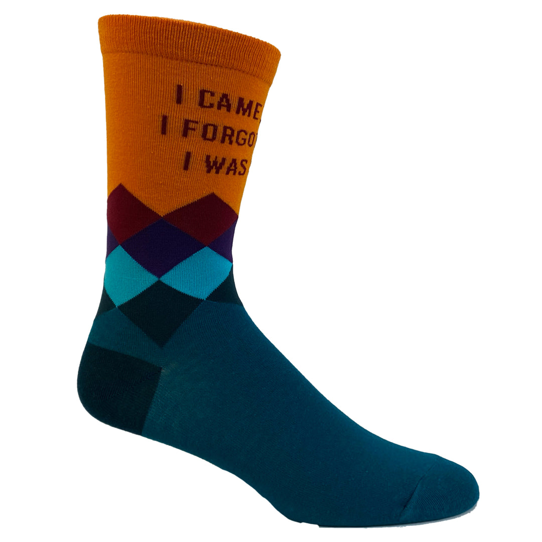 Womens I Came I Saw I Forgot What I Was Doing Socks Funny Introvert Sarcastic Graphic Novelty Footwear Image 6