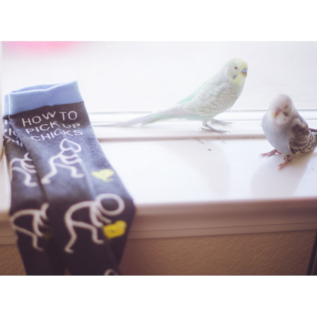 Youth How To Pick Up Chicks Socks Funny Easter Gift Footwear Image 7