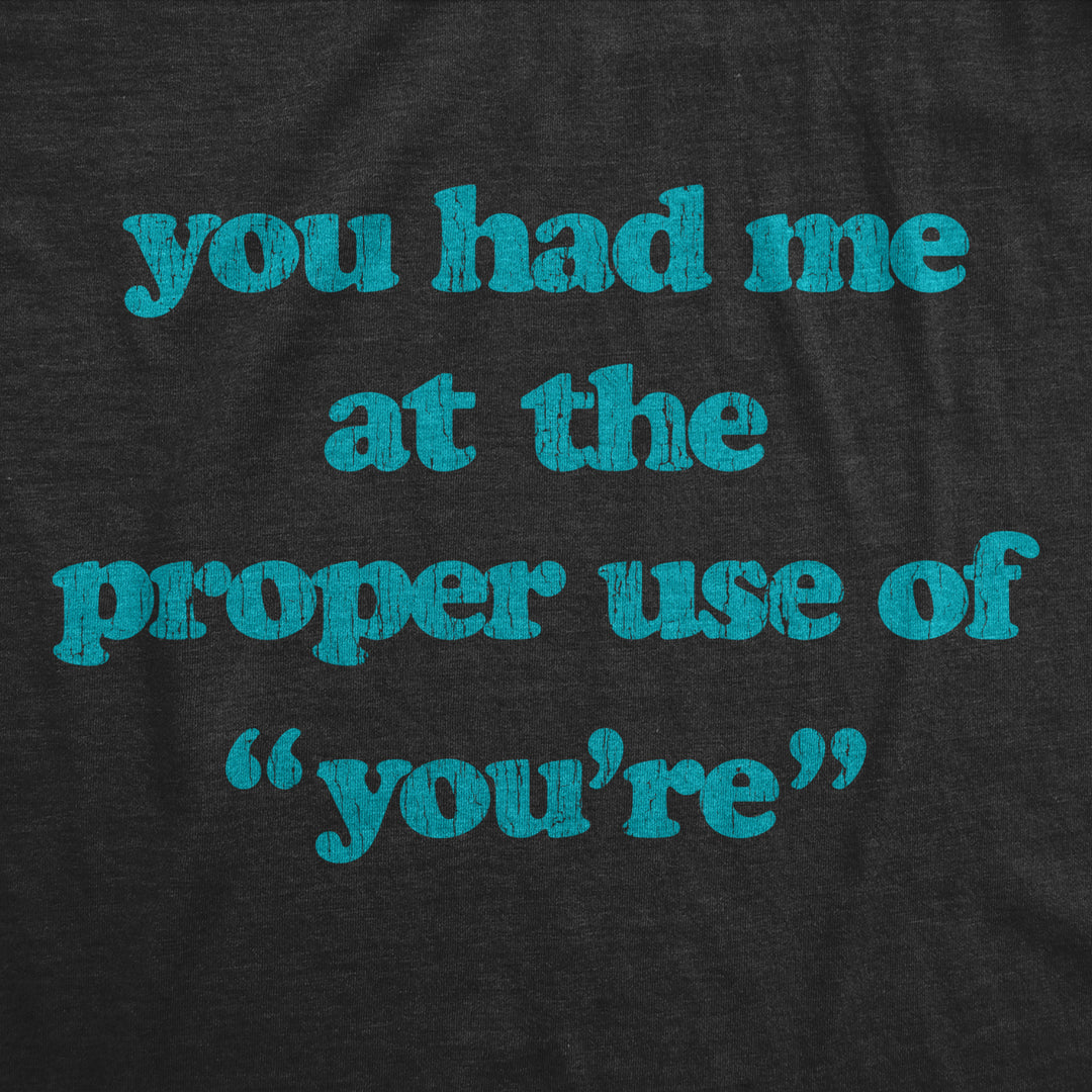 Mens You Had Me At The Proper Use Of Youre Tshirt Funny Correcting Grammar Tee Image 2