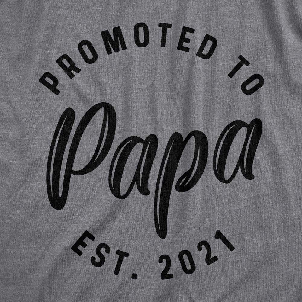 Crazy Dog Mens Promoted To Papa 2024 2023 2022 2021 Graphic T Shirt  Baby Family Tee Image 2