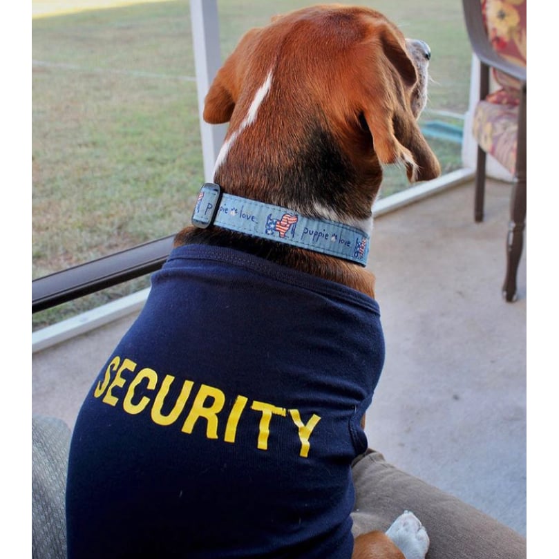 Dog Shirt Security Funny Sarcastic Tee For Puppy Image 2